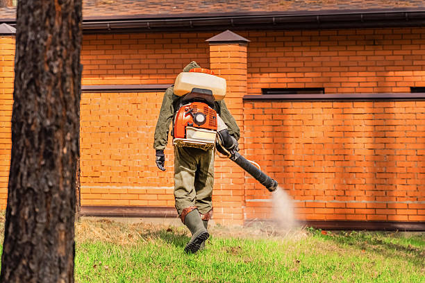 Trusted Rodent Control service in Ocean Grove, NJ - Nex Pest Control